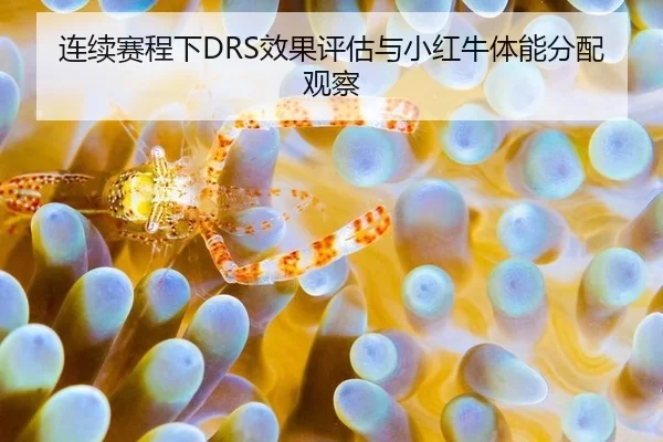 连续赛程下DRS效果评估与小红牛体能分配观察